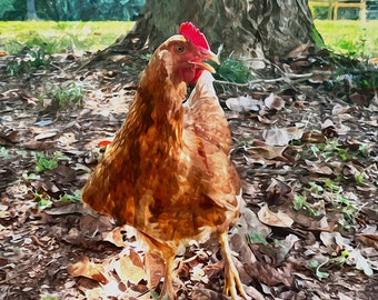 Backyard Hen Watercolor Print