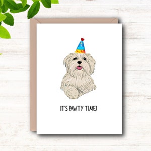 Biglietto stampabile, biglietto di auguri, biglietto di laurea, biglietto di compleanno, divertente gioco di parole sul cane, simpatico biglietto con un cane, maltese, download immediato, download digitale