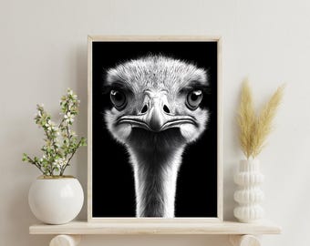 Portrait d'autruche noir et blanc - art mural animalier minimaliste, téléchargement numérique