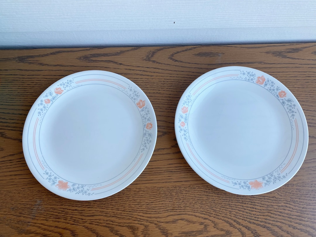 Apricot Grove Corelle Vintage Dinner and Salad Plate Set of 2 Etsy