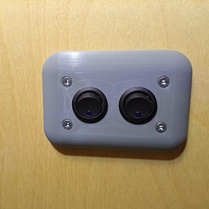 May include: A gray plastic switch plate with two black toggle switches. The switches have a blue indicator light.