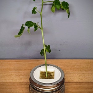 Grow Cube to Jar Adapter