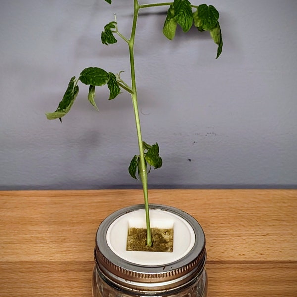 Grow Cube to Jar Adapter