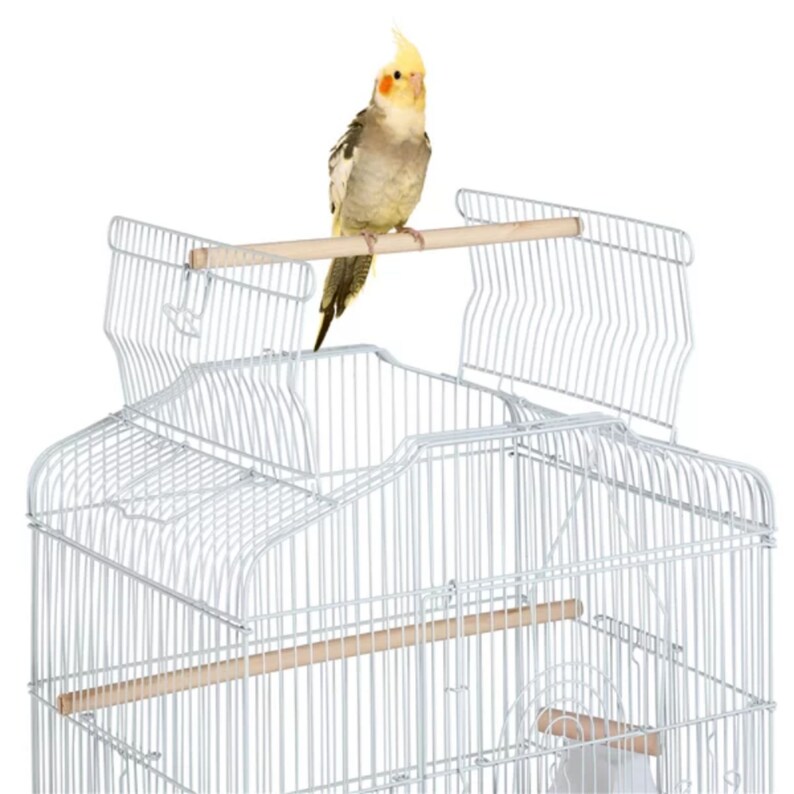 White Bird Cage, Small Birds Parrot Stand, Cage With Open Top, Metal