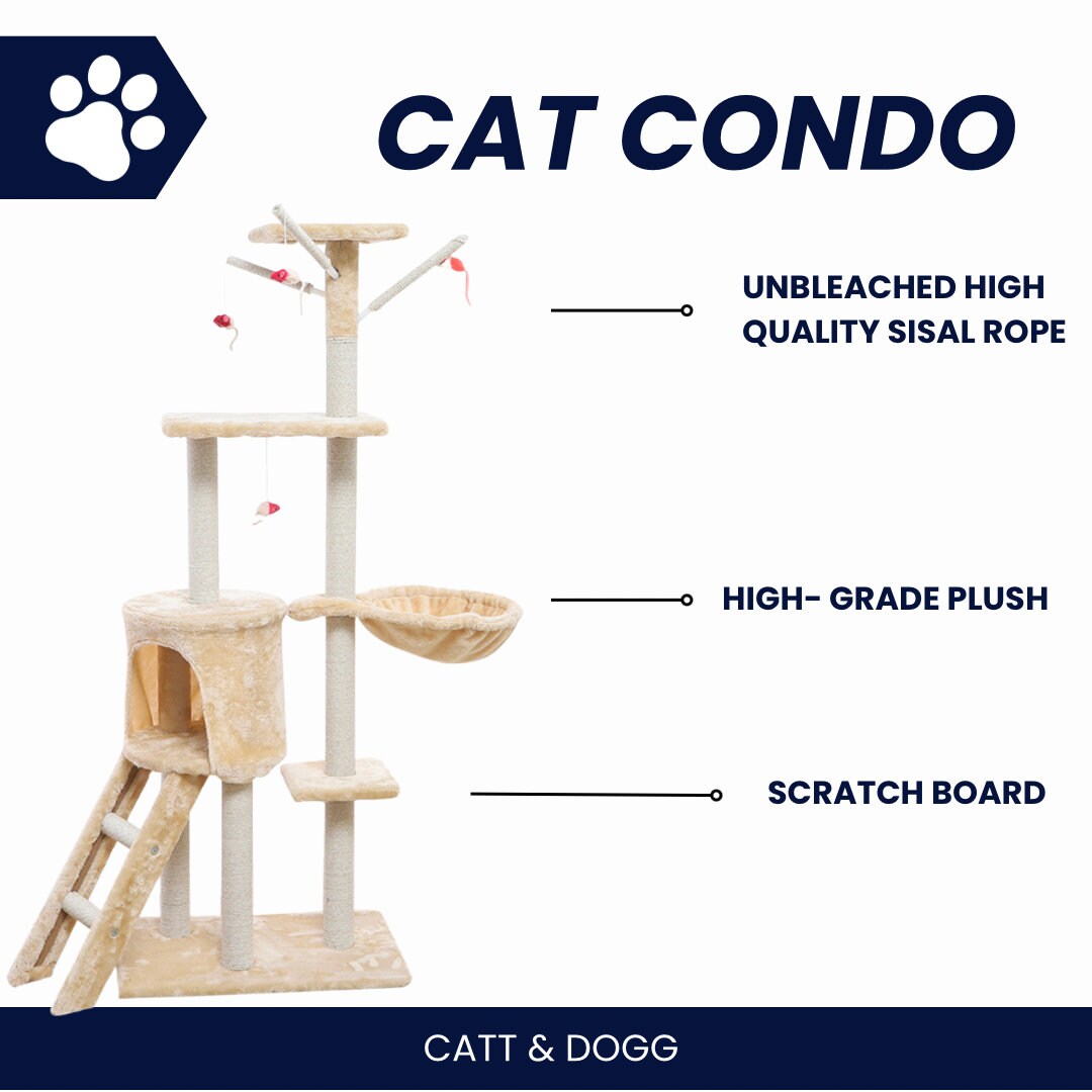 Modern Multilevel Sturdy Cat Tree Condo With Roundshaped Etsy