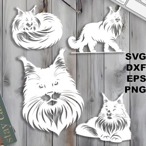 Arquivos de corte Maine Coon Cat SVG (svg dxf png eps) Silhouette & Cricut, scrapbooking digital, criação de cartão, arquivo svg de corte de papel, animal de estimação DIY