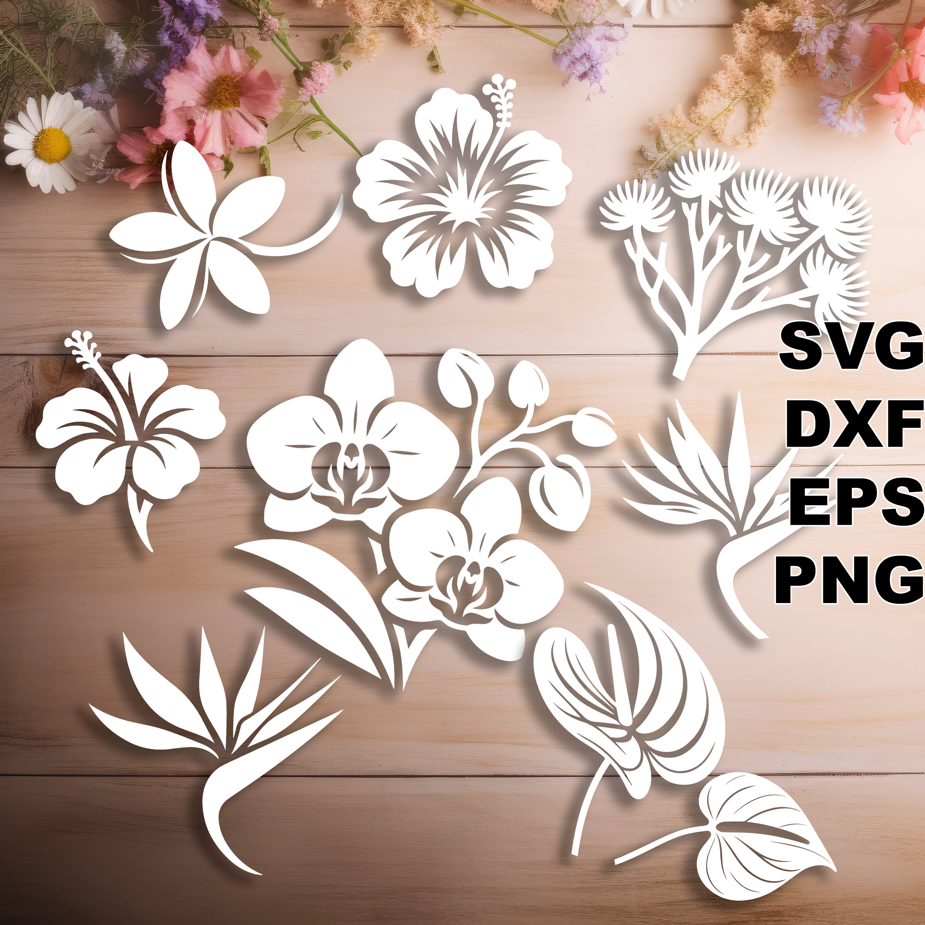 Flore hawaïenne SVG coupe fichiers (svg dxf png eps) vinyle et papier découpé, CNC, fichier svg découpé au laser, décoration florale DIY