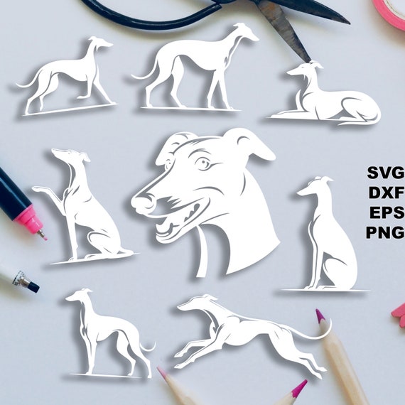 Greyhound SVG cut files (svg dxf png eps) Silhouette & Cricut, digital scrapbooking, card making, paper cut svg file, pet DIY