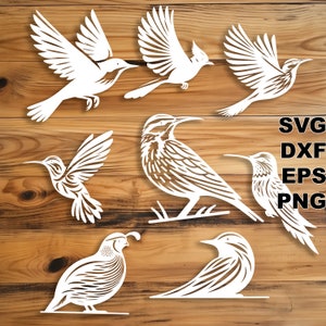 Op de afbeelding: Een set van acht witte silhouet vogel snijbestanden voor knutselprojecten. De vogels omvatten een kolibrie, een kwartel, een roodborstje, een blauwe gaaien en drie andere vogels. De bestanden zijn beschikbaar in SVG, DXF, EPS en PNG formaten.