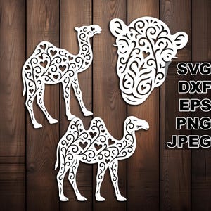 File di taglio SVG di adorabili cammelli (svg dxf png eps jpeg) Silhouette e Cricut, scrapbooking digitale, creazione di biglietti, taglio della carta, CNC e laser fai da te