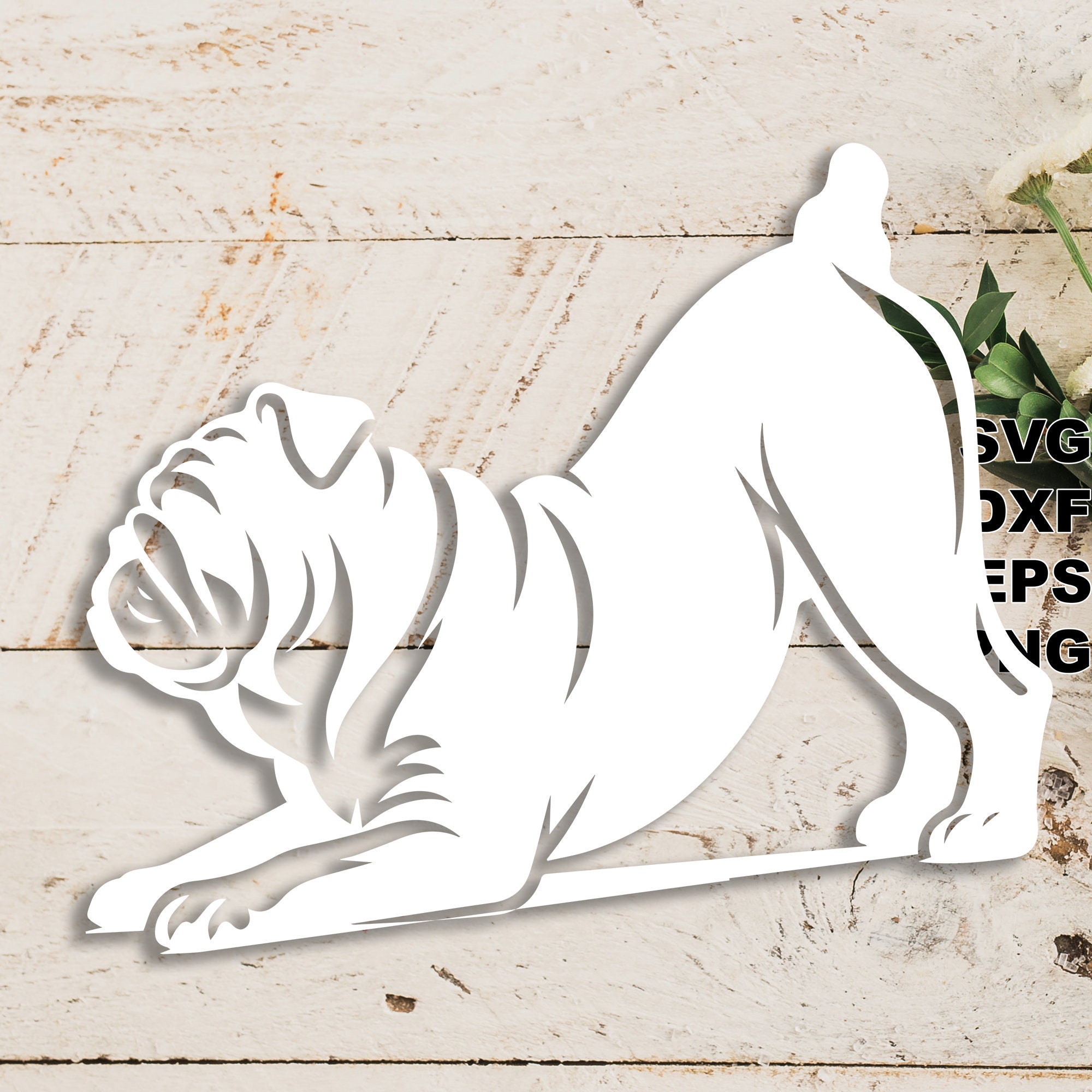 Bulldog SVG Cut Files svg Dxf Png Eps Silhouette & Cricut, Digital ...