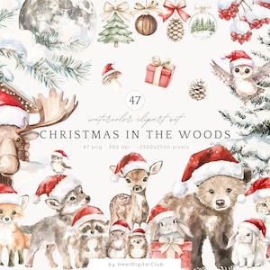 Aquarell Weihnachten im Wald Clipart, süsse Weihnachtstiere PNG, Weihnachtsbabys Clip Art, Winter Baby Tiere PNG, Weihnachten Babyparty