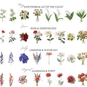 May include: A botanical illustration showcasing a variety of flowers, such as hawthorn, lily of the valley, rose, honeysuckle, larkspur, water lily, gladiolus, and poppy. The image is labelled with the months of the year.