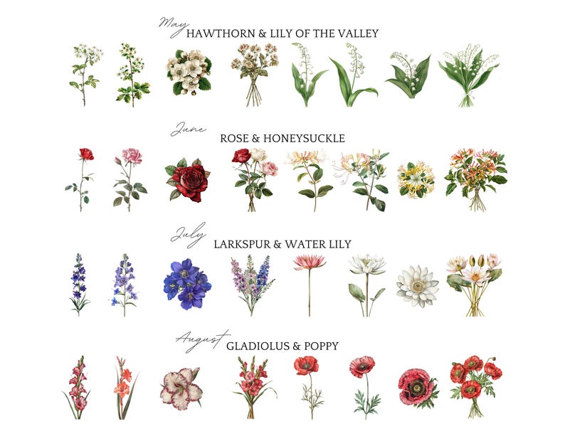 May include: A botanical illustration showcasing a variety of flowers, such as hawthorn, lily of the valley, rose, honeysuckle, larkspur, water lily, gladiolus, and poppy. The image is labelled with the months of the year.