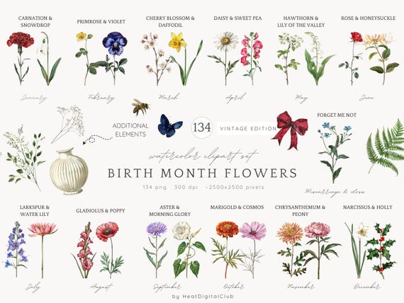 Birth Month Flower Clipart, Birth Flower PNG Set, Watercolor Vintage Birth Month Bouquets, Birth Flowers, Floral Clipart, Mother's Day Gift