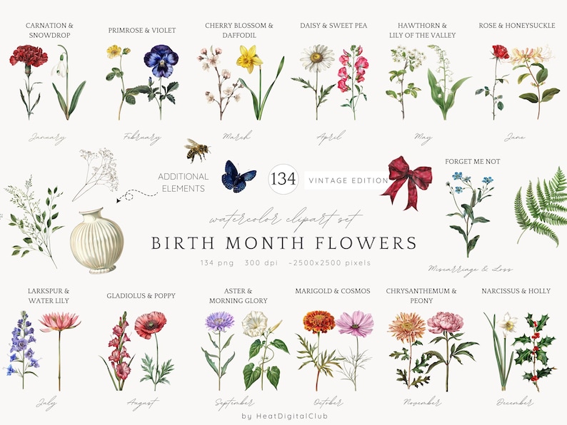May include: A vintage-style watercolour clipart set of birth month flowers. Includes illustrations of various flowers such as carnations, violets, daffodils, and roses. Additional elements include a bee, butterfly, and bow.