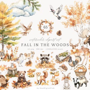 May include: A watercolour clipart set titled "Fall in the Woods" featuring woodland animals such as a fox, bear, deer, and raccoon, surrounded by autumn leaves and trees. The image includes the text "65 png 300 dpi -2500x2500 pixels".
