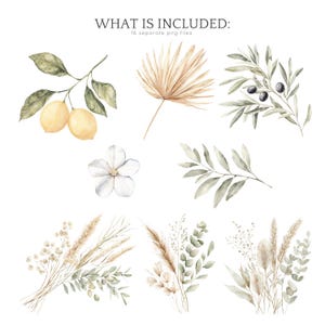 May include: A set of 16 watercolour illustrations featuring various botanical elements, including lemon branches, palm leaves, olive branches, white flowers, and sprigs of dried grasses and eucalyptus.