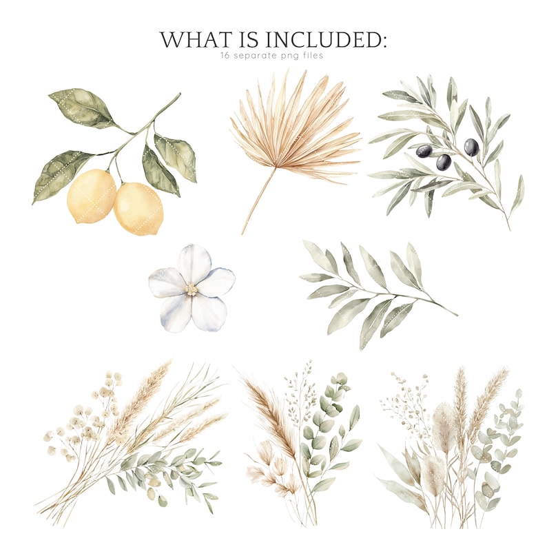 May include: A set of 16 watercolour illustrations featuring various botanical elements, including lemon branches, palm leaves, olive branches, white flowers, and sprigs of dried grasses and eucalyptus.