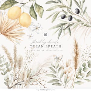 Clipart de decoração floral de verão em aquarela, clipart botânico PNG, verão neutro, flores secas PNG, vegetação costeira, download digital