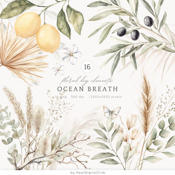 Watercolor Summer Floral Decor Clipart, Botanical PNG Clip Art, Neutral Summer, Dried Flowers PNG, Coastal Greenery,  Digital Download