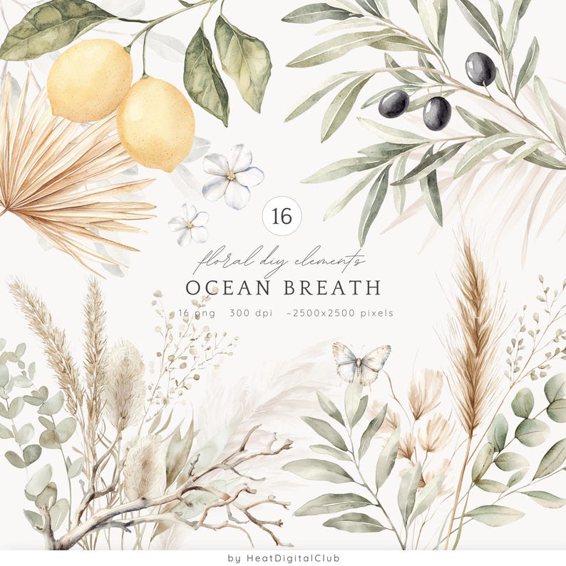 May include: A digital illustration set of 16 watercolour floral elements, including lemons, olive branches, butterflies, and dried grasses. The set is called "Ocean Breath" and is 300 dpi, 2500x2500 pixels.