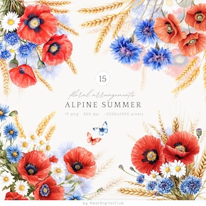 Arranjos florais de verão alpino em aquarela clipart, papoulas e centáureas PNG, clipart de buquê alpino, composições rústicas de flores silvestres