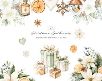 Watercolor Christmas Floral Elements Clipart, Apothecary Botanical Ornament PNG Collection (Digital Download)