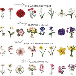 May include: A botanical illustration displaying a variety of flowers, each labelled with a month. January features carnations and snowdrops, February shows primroses and violets, March has cherry blossoms and daffodils, and April presents daisies and sweet peas.