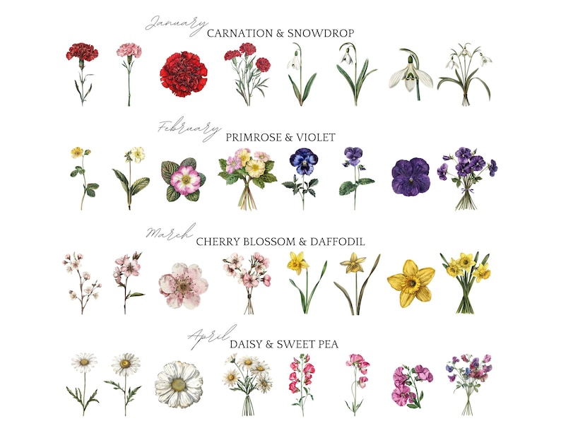 May include: A botanical illustration displaying a variety of flowers, each labelled with a month. January features carnations and snowdrops, February shows primroses and violets, March has cherry blossoms and daffodils, and April presents daisies and sweet peas.