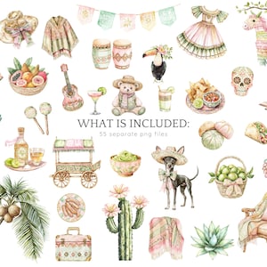 Watercolor Viva Mexico Clipart Bundle, Cinco de Mayo, Mexico Clip Art, Pinata, Mexican party, Cactus, Tequila, Guitar, Fiesta, Sombrero image 4