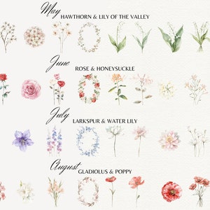 May include: Watercolor illustrations of flowers for each month of the year, May through August.  Each month features a wreath, a single flower, and a bouquet of flowers.  The flowers are labeled with their names and the month they bloom.  May: Hawthorn & Lily of the Valley. June: Rose & Honeysuckle. July: Larkspur & Water Lily. August: Gladiolus & Poppy.