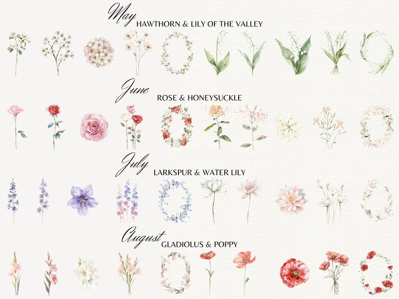 May include: Watercolor illustrations of flowers for each month of the year, May through August.  Each month features a wreath, a single flower, and a bouquet of flowers.  The flowers are labeled with their names and the month they bloom.  May: Hawthorn & Lily of the Valley. June: Rose & Honeysuckle. July: Larkspur & Water Lily. August: Gladiolus & Poppy.