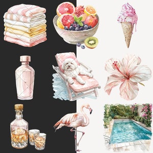 May include: A watercolor illustration of a summer vacation scene with a pink flamingo, a pool, a dog on a lounge chair, a bowl of fruit, a bottle of perfume, a bottle of liquor, two shot glasses, a pink hibiscus flower, and a pink ice cream cone.