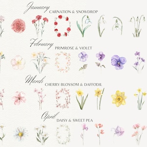 May include: Watercolor illustrations of flowers for each month of the year. January: carnation and snowdrop. February: primrose and violet. March: cherry blossom and daffodil. April: daisy and sweet pea.
