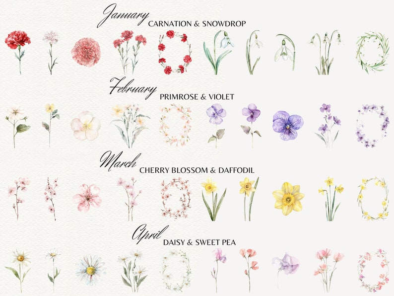 May include: Watercolor illustrations of flowers for each month of the year. January: carnation and snowdrop. February: primrose and violet. March: cherry blossom and daffodil. April: daisy and sweet pea.