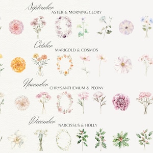 May include: Watercolor illustrations of flowers for each month of the year. September: Aster and Morning Glory. October: Marigold and Cosmos. November: Chrysanthemum and Peony. December: Narcissus and Holly.