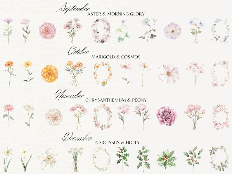 May include: Watercolor illustrations of flowers for each month of the year. September: Aster and Morning Glory. October: Marigold and Cosmos. November: Chrysanthemum and Peony. December: Narcissus and Holly.