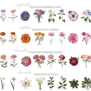 May include: A detailed botanical illustration of various flowers, each labelled with a month. September shows aster and morning glory, October features marigold and cosmos, November displays chrysanthemum and peony, and December highlights narcissus and holly.