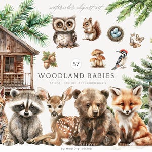 Pacote de clipart de bebês da floresta em aquarela, clipart de animais da floresta, animais bebês, chá de bebê PNG, berçário da floresta, uso comercial