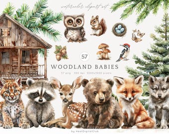 Watercolor Woodland Babies Clipart Bundle, Forest Animals Clip Art, Baby Animals, Baby Shower PNG, Woodland Nursery, Commertial Use