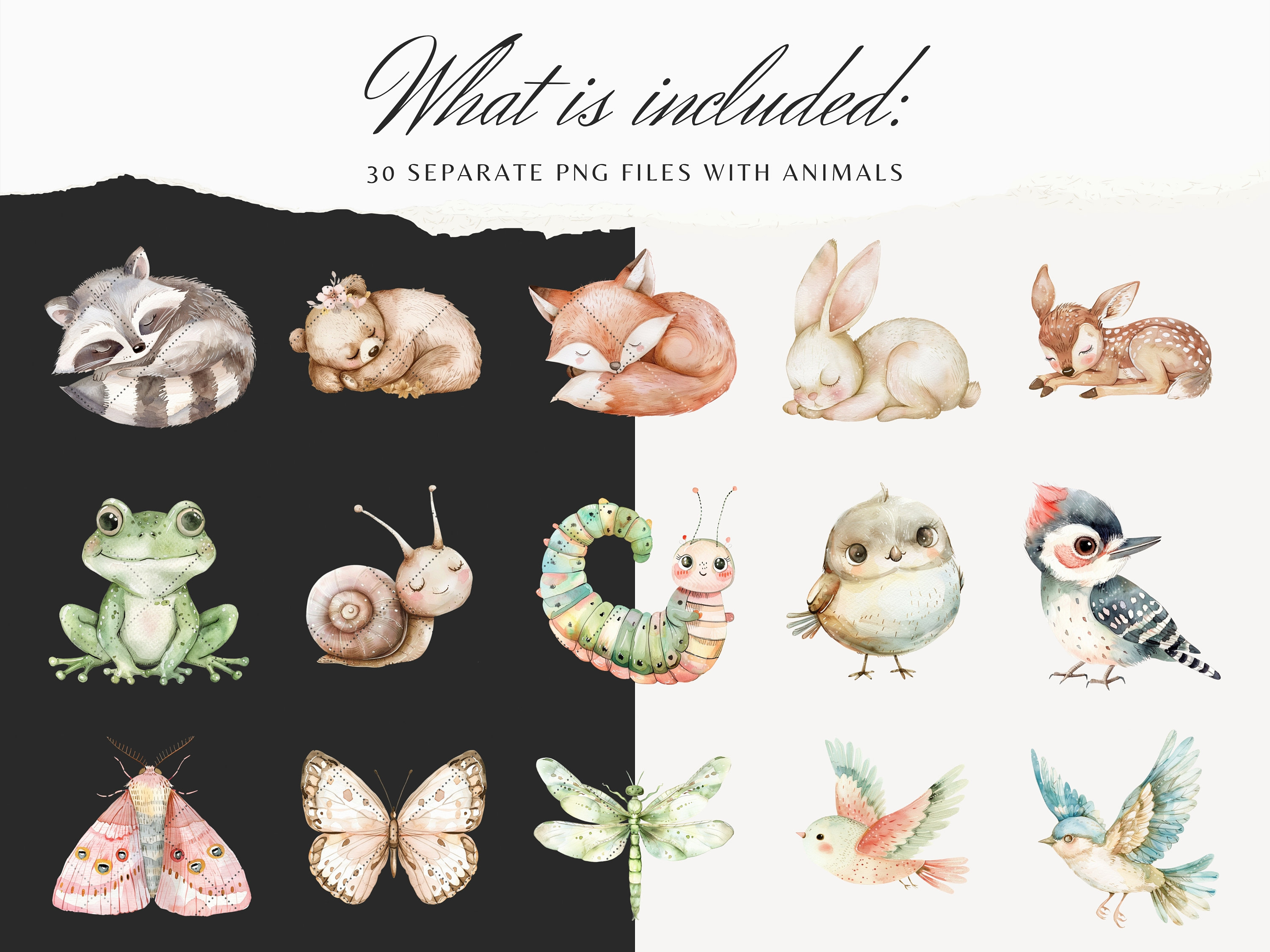 Watercolor Woodland Friends Clipart Bundle, Cute Forest Animals Clip ...