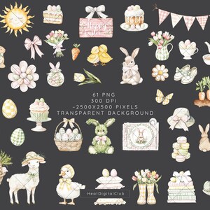 May include: A set of 61 digital illustrations featuring Easter-themed images. The illustrations include bunnies, chicks, eggs, flowers, carrots, and other spring-themed elements. The images are in a watercolor style and have a transparent background.