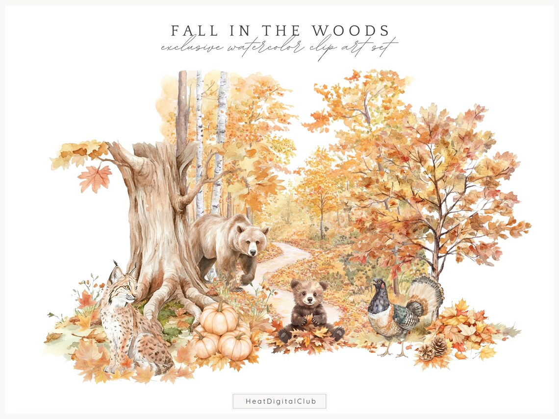 Watercolor Fall Woodland Animals Clipart, Autumn Forest Animals PNG ...