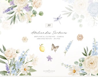 Watercolor Provence Floral Clipart, Cottagecore Botanical Elements and Floral Arrangements  PNG (Digital Download)