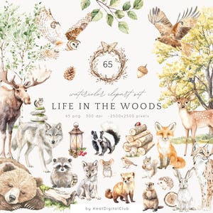 Imágenes prediseñadas de animales del bosque en acuarela, animales del bosque PNG, vida en el bosque, imágenes prediseñadas de guardería de primavera, bebés del bosque, ciervo, oso, zorro, mapache