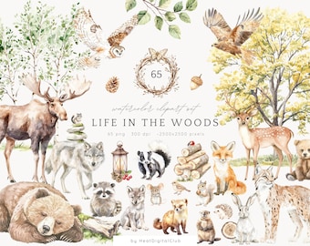 May include: Watercolor clipart set of 65 images featuring woodland animals, plants, and objects. The set includes a moose, wolf, bear, deer, fox, raccoon, owl, squirrel, and more. The images are perfect for creating digital designs, invitations, and other projects.