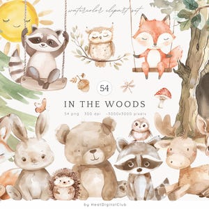 Clipart acquerello nel bosco, Clipart simpatici animali del bosco, Cuccioli di animale, Clipart baby shower, Asilo nido nel bosco, Animali della foresta boho