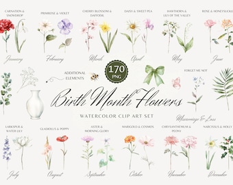 Birth Month Flower Clipart, Birth Flower PNG Set, Watercolor Birth Month Flower Bouquets, Birth Flowers, Floral Clipart, Mother's Day Gift