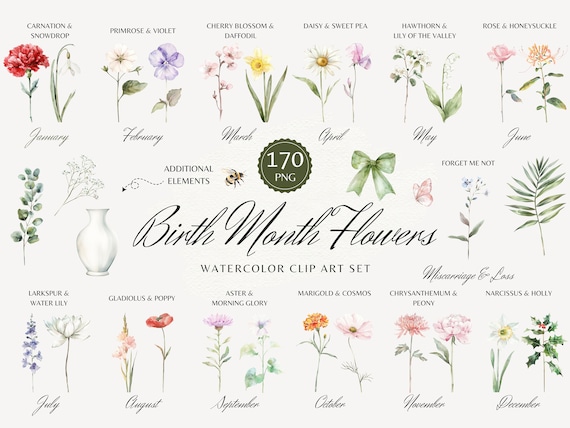 Birth Month Flower Clipart, Birth Flower PNG Set, Watercolor Birth Month Flower Bouquets, Birth Flowers, Floral Clipart, Mother's Day Gift